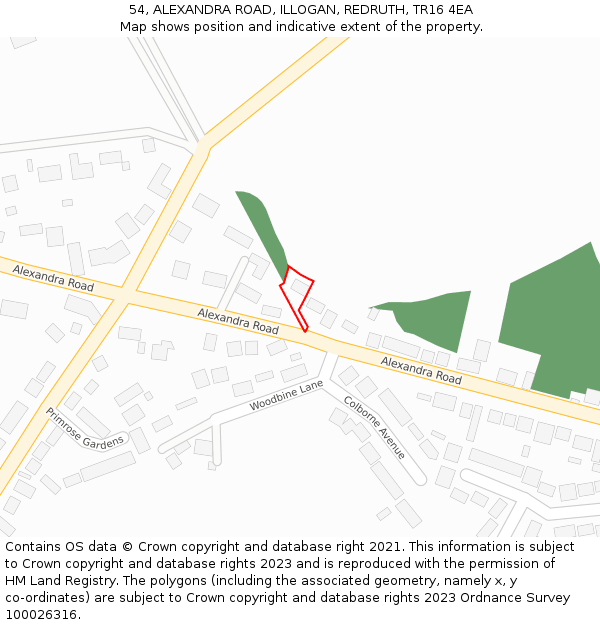 54, ALEXANDRA ROAD, ILLOGAN, REDRUTH, TR16 4EA: Location map and indicative extent of plot