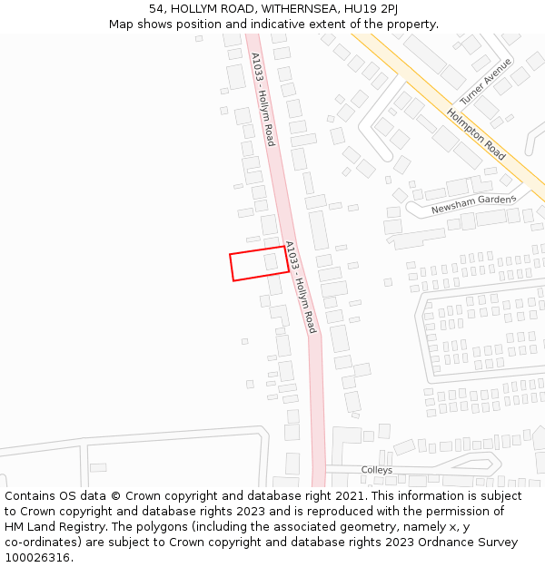 54, HOLLYM ROAD, WITHERNSEA, HU19 2PJ: Location map and indicative extent of plot