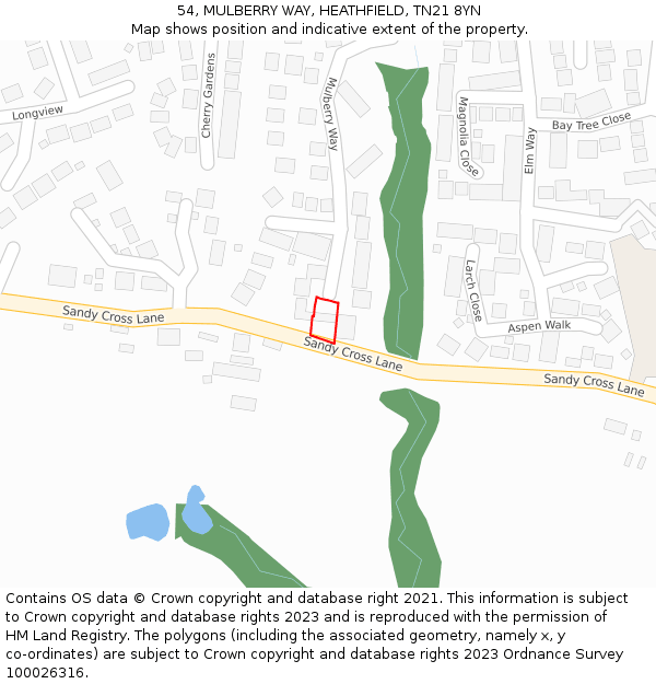 54, MULBERRY WAY, HEATHFIELD, TN21 8YN: Location map and indicative extent of plot