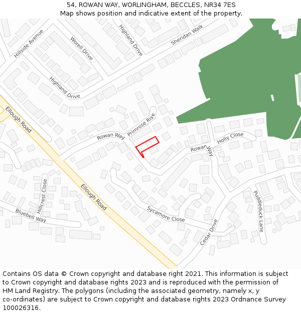 54, ROWAN WAY, WORLINGHAM, BECCLES, NR34 7ES: Location map and indicative extent of plot