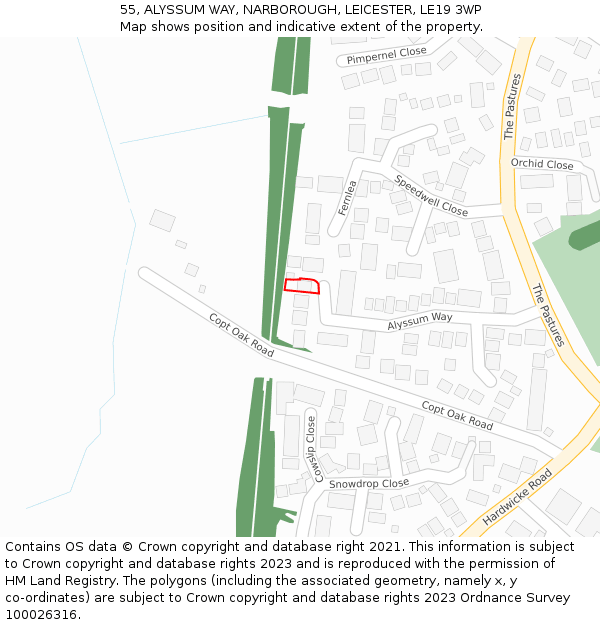 55, ALYSSUM WAY, NARBOROUGH, LEICESTER, LE19 3WP: Location map and indicative extent of plot