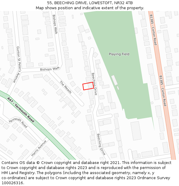 55, BEECHING DRIVE, LOWESTOFT, NR32 4TB: Location map and indicative extent of plot