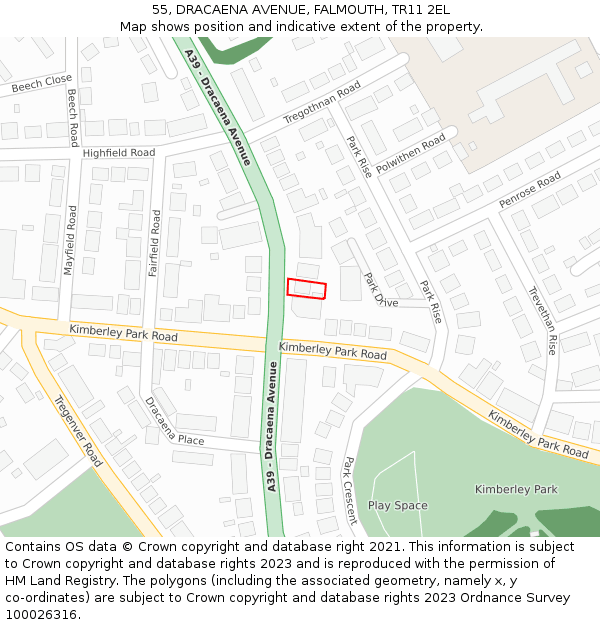 55, DRACAENA AVENUE, FALMOUTH, TR11 2EL: Location map and indicative extent of plot