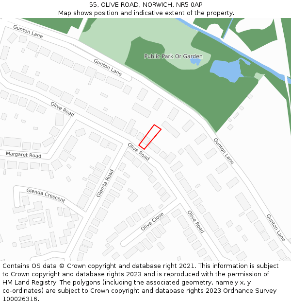 55, OLIVE ROAD, NORWICH, NR5 0AP: Location map and indicative extent of plot