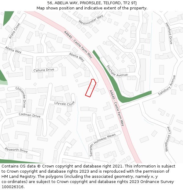 56, ABELIA WAY, PRIORSLEE, TELFORD, TF2 9TJ: Location map and indicative extent of plot