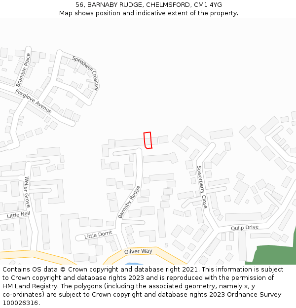 56, BARNABY RUDGE, CHELMSFORD, CM1 4YG: Location map and indicative extent of plot