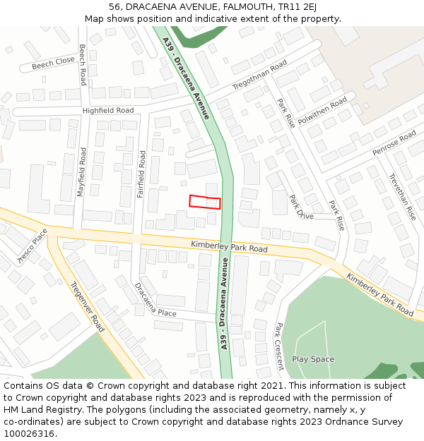 56, DRACAENA AVENUE, FALMOUTH, TR11 2EJ: Location map and indicative extent of plot