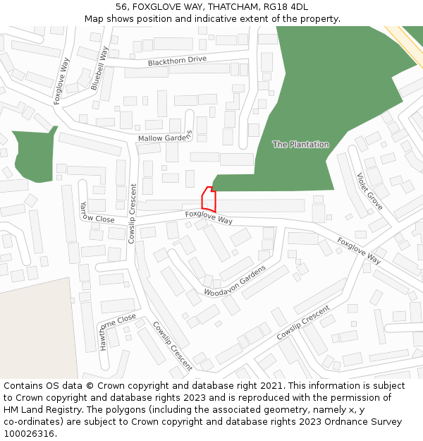 56, FOXGLOVE WAY, THATCHAM, RG18 4DL: Location map and indicative extent of plot