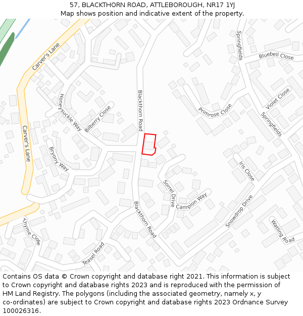57, BLACKTHORN ROAD, ATTLEBOROUGH, NR17 1YJ: Location map and indicative extent of plot