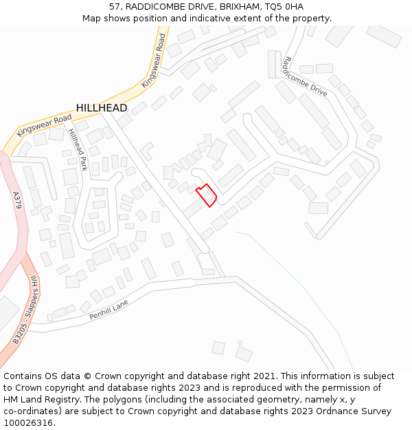 57, RADDICOMBE DRIVE, BRIXHAM, TQ5 0HA: Location map and indicative extent of plot