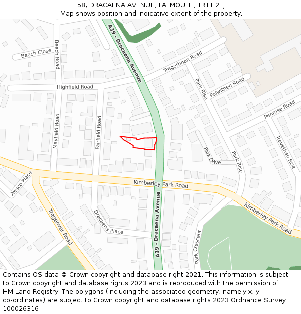 58, DRACAENA AVENUE, FALMOUTH, TR11 2EJ: Location map and indicative extent of plot