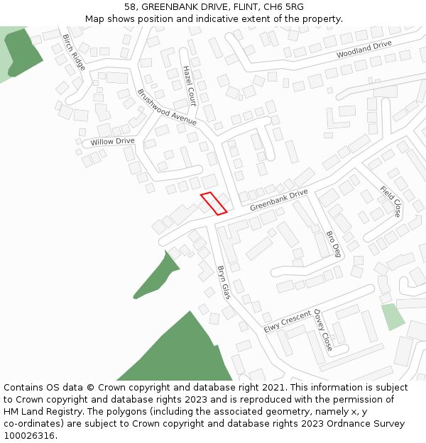 58, GREENBANK DRIVE, FLINT, CH6 5RG: Location map and indicative extent of plot