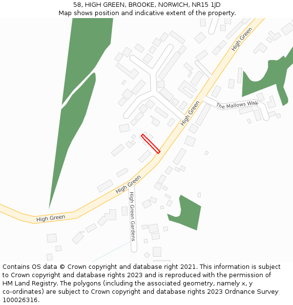 58, HIGH GREEN, BROOKE, NORWICH, NR15 1JD: Location map and indicative extent of plot