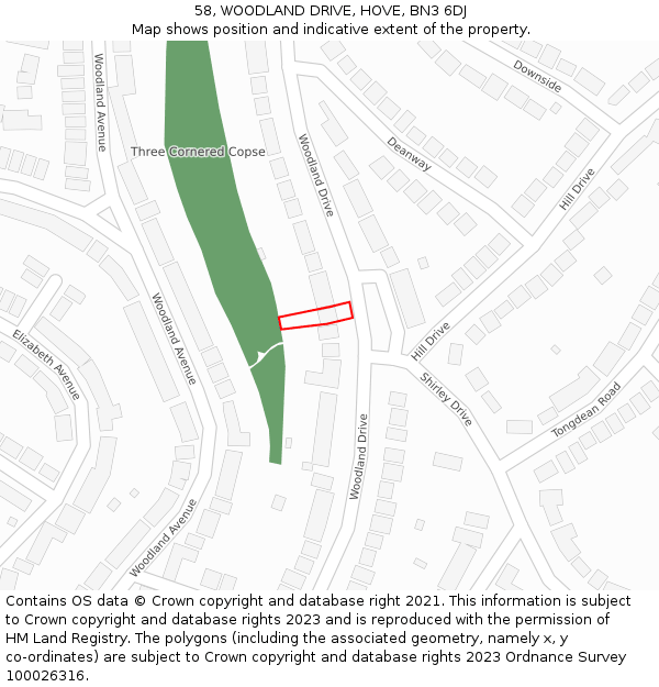 58, WOODLAND DRIVE, HOVE, BN3 6DJ: Location map and indicative extent of plot