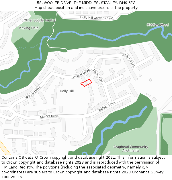 58, WOOLER DRIVE, THE MIDDLES, STANLEY, DH9 6FG: Location map and indicative extent of plot