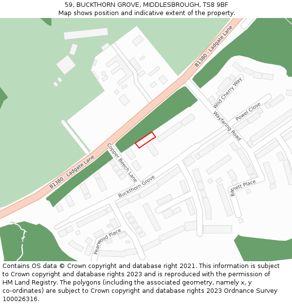 59, BUCKTHORN GROVE, MIDDLESBROUGH, TS8 9BF: Location map and indicative extent of plot