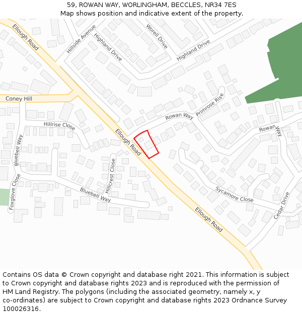 59, ROWAN WAY, WORLINGHAM, BECCLES, NR34 7ES: Location map and indicative extent of plot