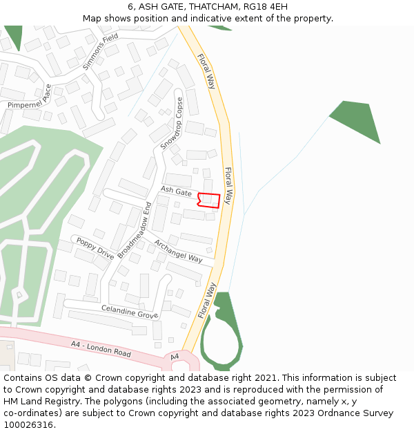 6, ASH GATE, THATCHAM, RG18 4EH: Location map and indicative extent of plot