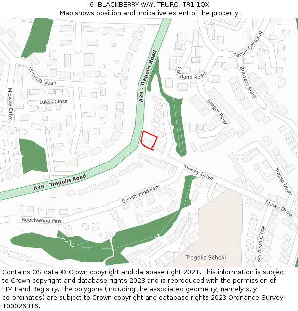 6, BLACKBERRY WAY, TRURO, TR1 1QX: Location map and indicative extent of plot