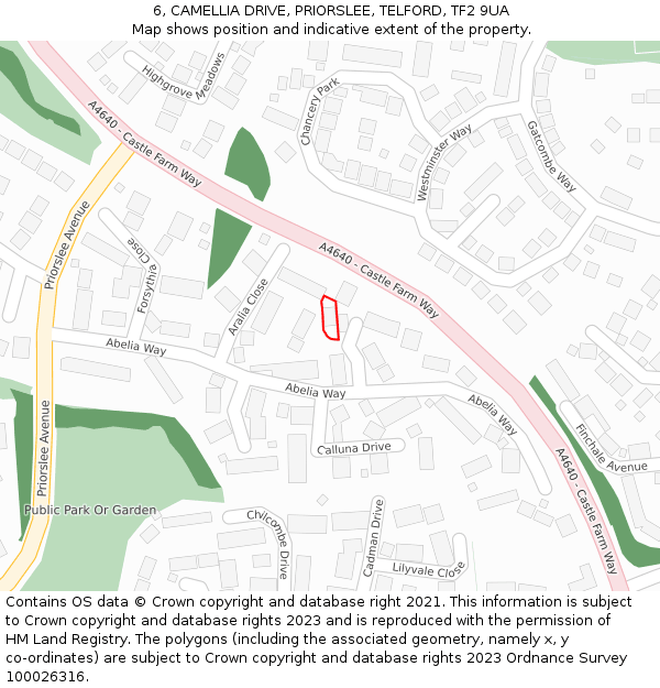 6, CAMELLIA DRIVE, PRIORSLEE, TELFORD, TF2 9UA: Location map and indicative extent of plot