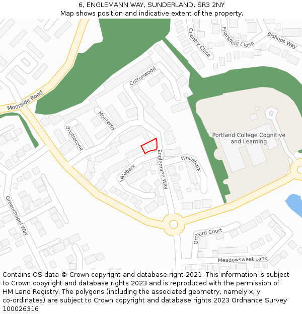 6, ENGLEMANN WAY, SUNDERLAND, SR3 2NY: Location map and indicative extent of plot