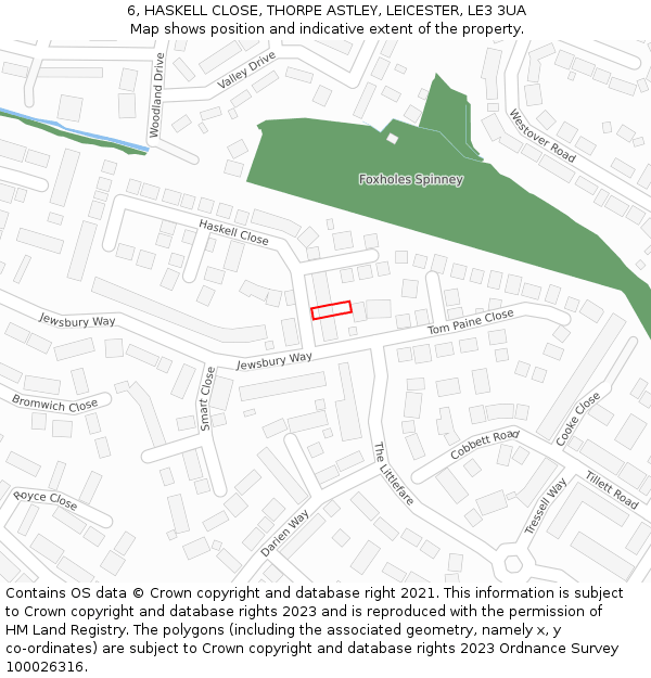 6, HASKELL CLOSE, THORPE ASTLEY, LEICESTER, LE3 3UA: Location map and indicative extent of plot