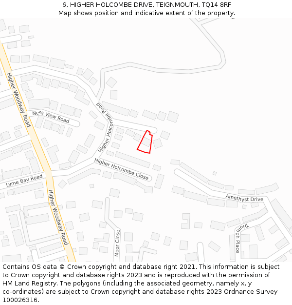 6, HIGHER HOLCOMBE DRIVE, TEIGNMOUTH, TQ14 8RF: Location map and indicative extent of plot