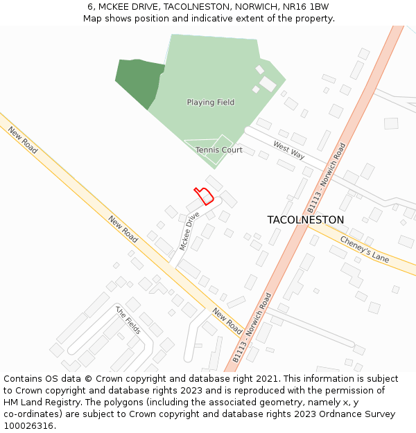 6, MCKEE DRIVE, TACOLNESTON, NORWICH, NR16 1BW: Location map and indicative extent of plot