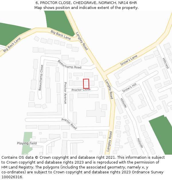 6, PROCTOR CLOSE, CHEDGRAVE, NORWICH, NR14 6HR: Location map and indicative extent of plot