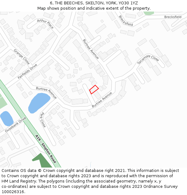 6, THE BEECHES, SKELTON, YORK, YO30 1YZ: Location map and indicative extent of plot