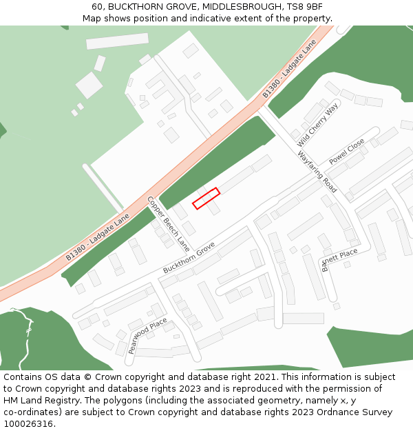 60, BUCKTHORN GROVE, MIDDLESBROUGH, TS8 9BF: Location map and indicative extent of plot