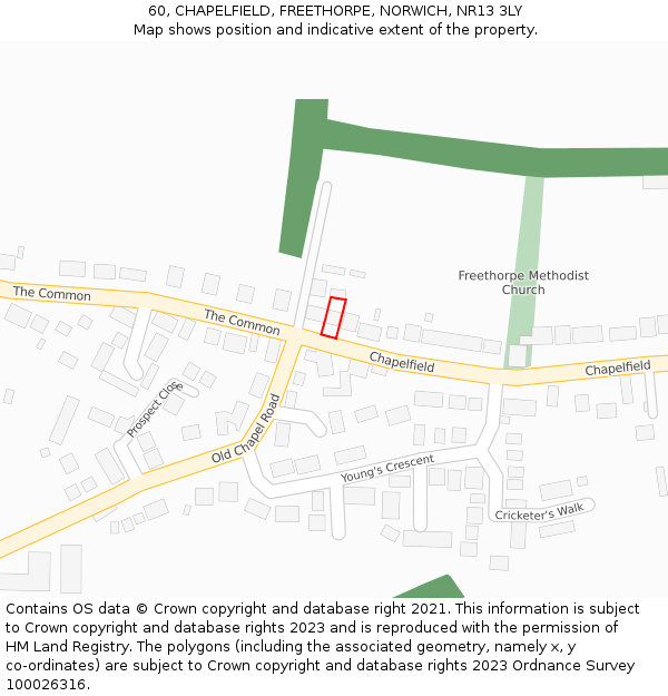 60, CHAPELFIELD, FREETHORPE, NORWICH, NR13 3LY: Location map and indicative extent of plot