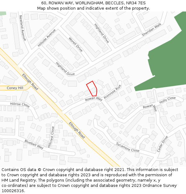 60, ROWAN WAY, WORLINGHAM, BECCLES, NR34 7ES: Location map and indicative extent of plot