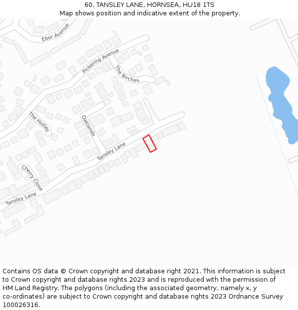 60, TANSLEY LANE, HORNSEA, HU18 1TS: Location map and indicative extent of plot