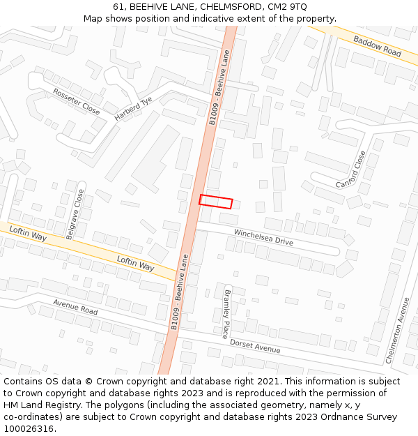 61, BEEHIVE LANE, CHELMSFORD, CM2 9TQ: Location map and indicative extent of plot