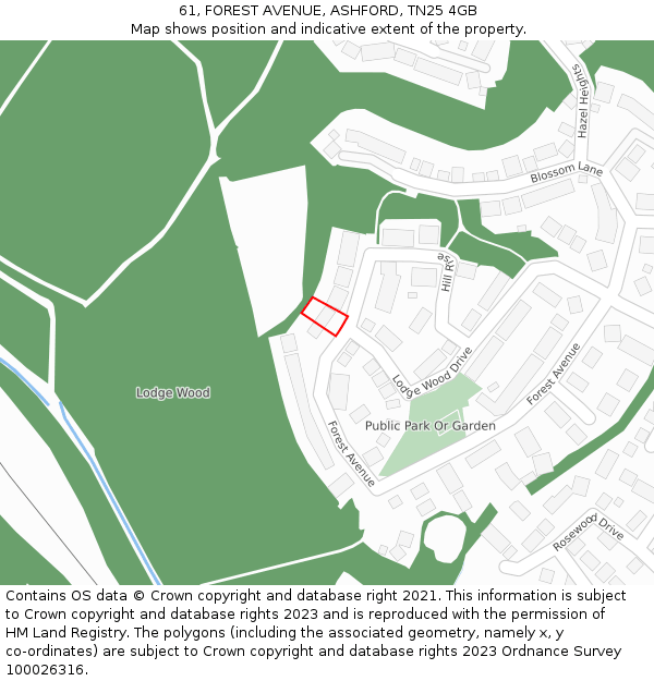 61, FOREST AVENUE, ASHFORD, TN25 4GB: Location map and indicative extent of plot