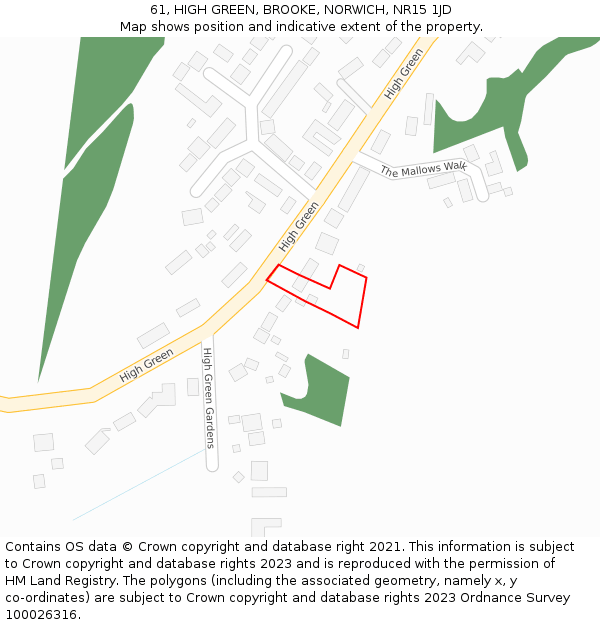 61, HIGH GREEN, BROOKE, NORWICH, NR15 1JD: Location map and indicative extent of plot