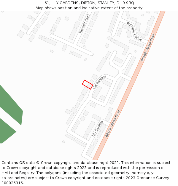 61, LILY GARDENS, DIPTON, STANLEY, DH9 9BQ: Location map and indicative extent of plot