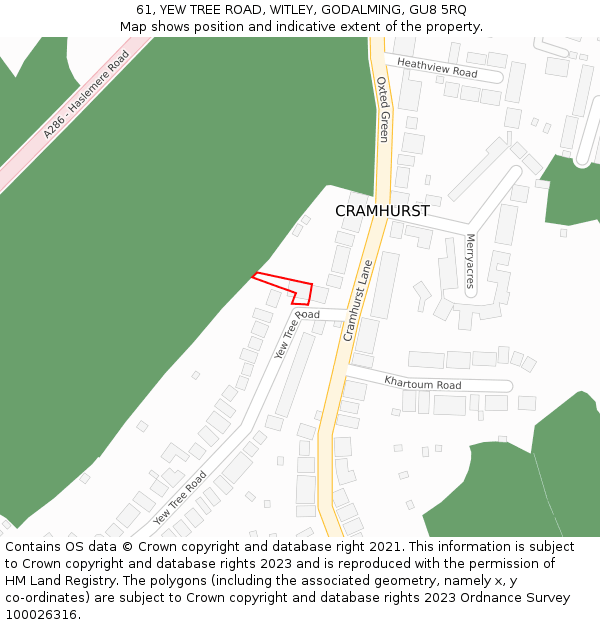 61, YEW TREE ROAD, WITLEY, GODALMING, GU8 5RQ: Location map and indicative extent of plot