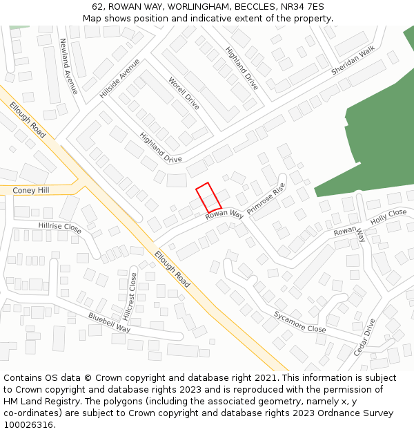 62, ROWAN WAY, WORLINGHAM, BECCLES, NR34 7ES: Location map and indicative extent of plot