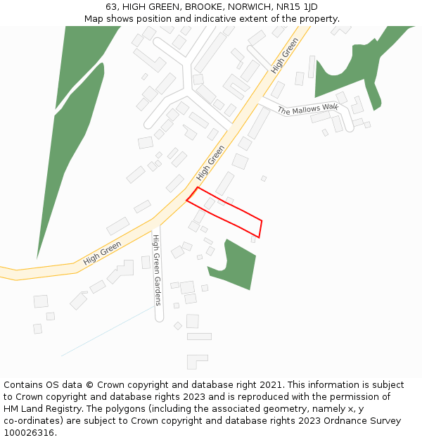 63, HIGH GREEN, BROOKE, NORWICH, NR15 1JD: Location map and indicative extent of plot