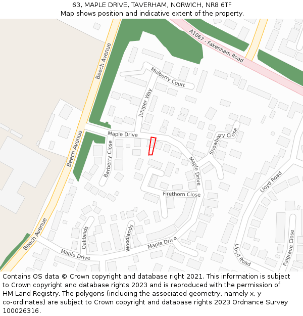 63, MAPLE DRIVE, TAVERHAM, NORWICH, NR8 6TF: Location map and indicative extent of plot