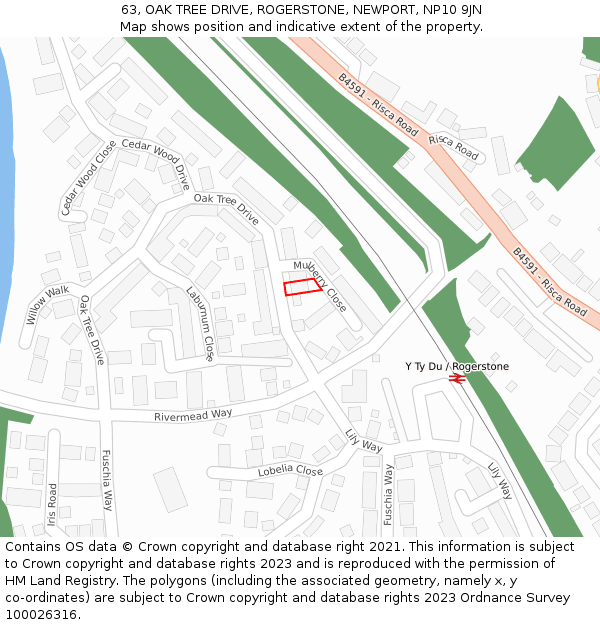 63, OAK TREE DRIVE, ROGERSTONE, NEWPORT, NP10 9JN: Location map and indicative extent of plot