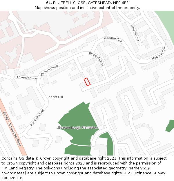 64, BLUEBELL CLOSE, GATESHEAD, NE9 6RF: Location map and indicative extent of plot