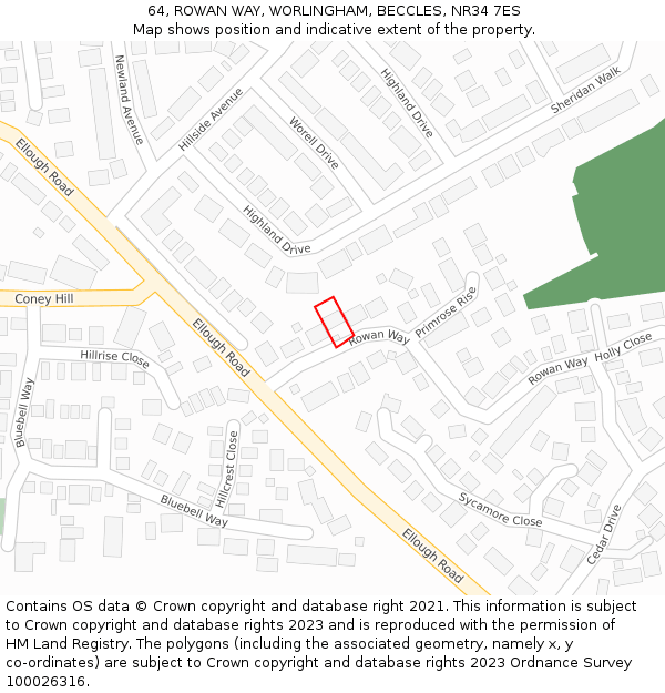 64, ROWAN WAY, WORLINGHAM, BECCLES, NR34 7ES: Location map and indicative extent of plot