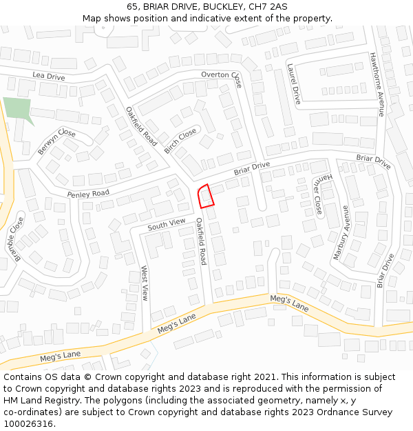 65, BRIAR DRIVE, BUCKLEY, CH7 2AS: Location map and indicative extent of plot