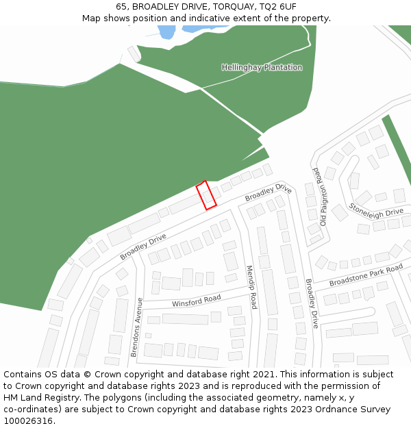 65, BROADLEY DRIVE, TORQUAY, TQ2 6UF: Location map and indicative extent of plot