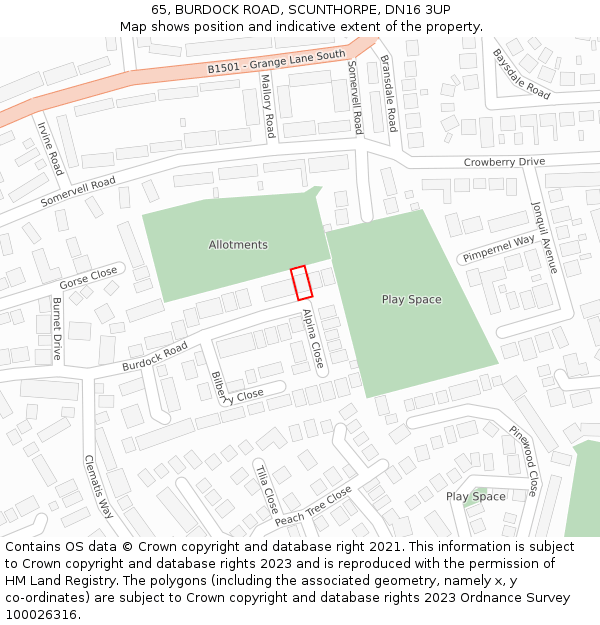 65, BURDOCK ROAD, SCUNTHORPE, DN16 3UP: Location map and indicative extent of plot