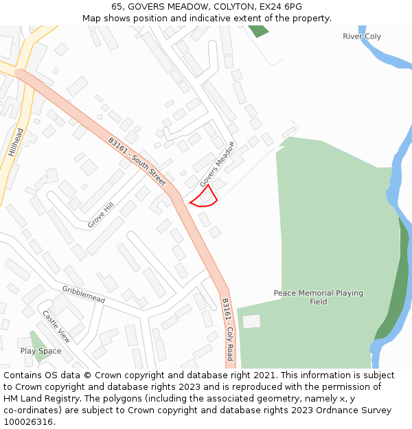 65, GOVERS MEADOW, COLYTON, EX24 6PG: Location map and indicative extent of plot