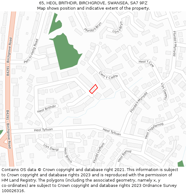 65, HEOL BRITHDIR, BIRCHGROVE, SWANSEA, SA7 9PZ: Location map and indicative extent of plot